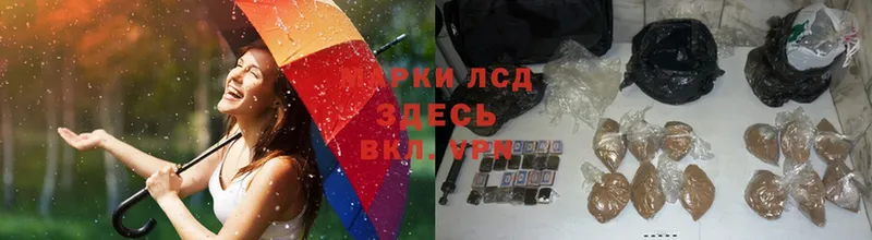 LSD-25 экстази кислота  наркота  Буинск 